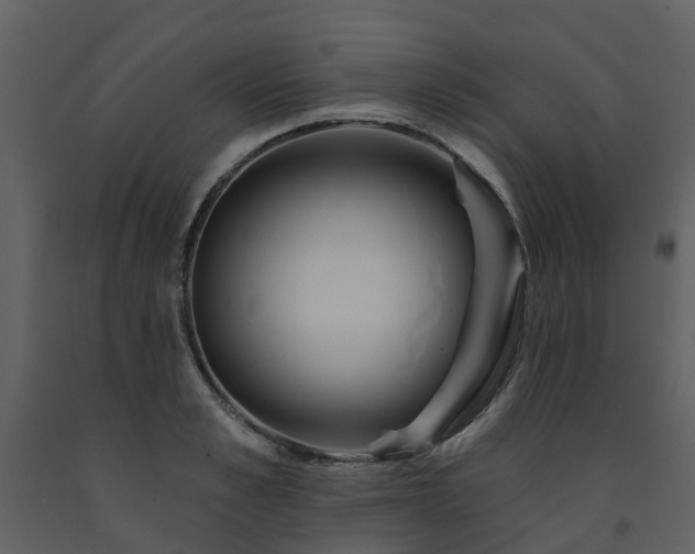 X0000091730989200708241408