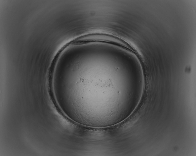 X0000091730991200708241408