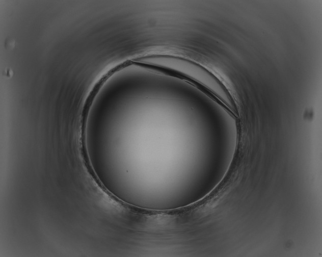 X0000091730992200708241408