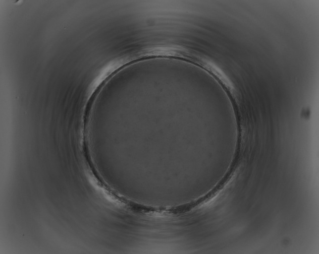 X0000091730994200708241408