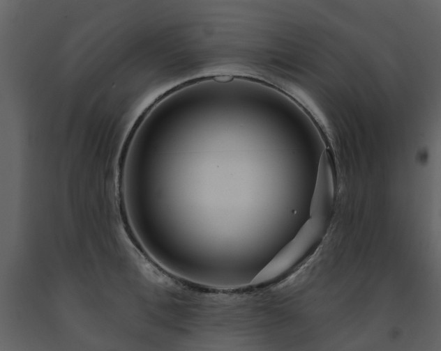 X0000091730996200708241408