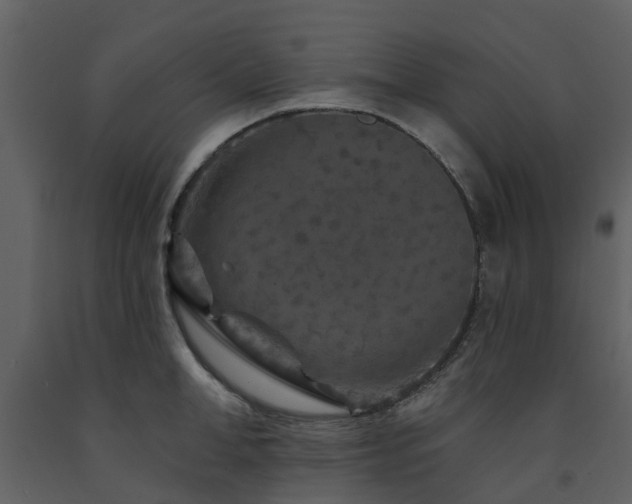 X0000091730998200708241408