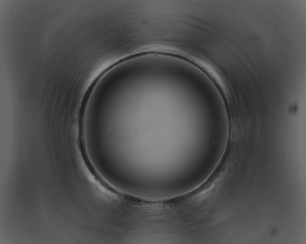 X0000091730999200708241408