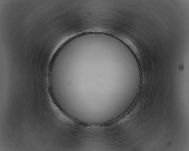 X0000091731000200708241408