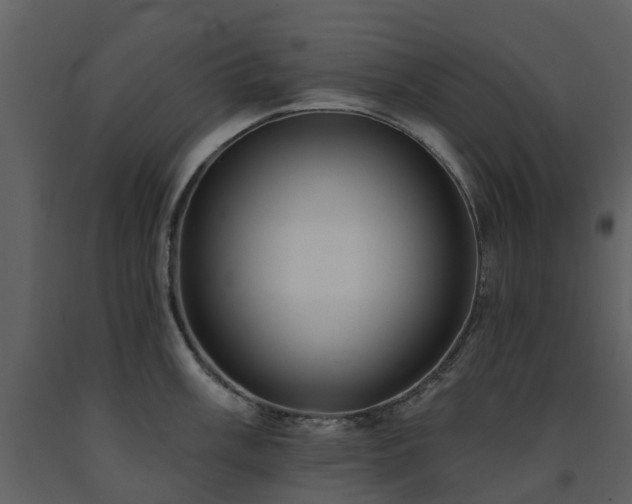 X0000091731003200708241408