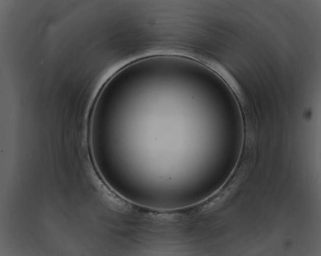 X0000091731004200708241408