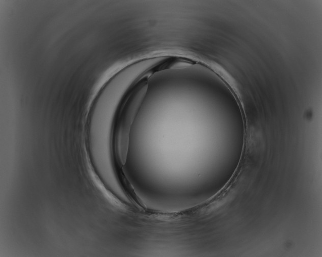 X0000091731005200708241408