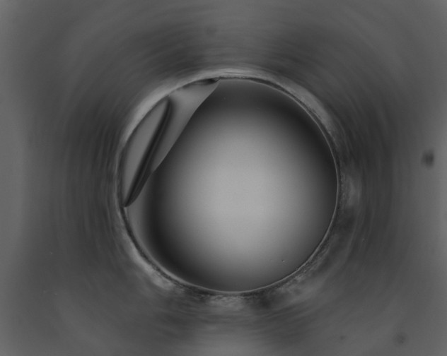 X0000091731006200708241408
