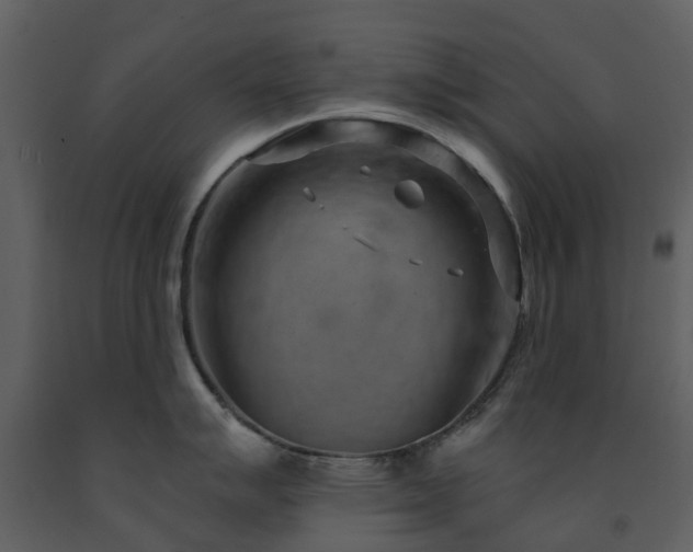 X0000091731007200708241408