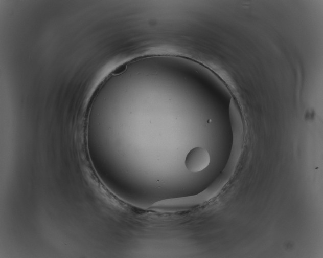 X0000091731008200708241408
