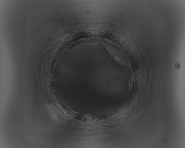 X0000091731009200708241408