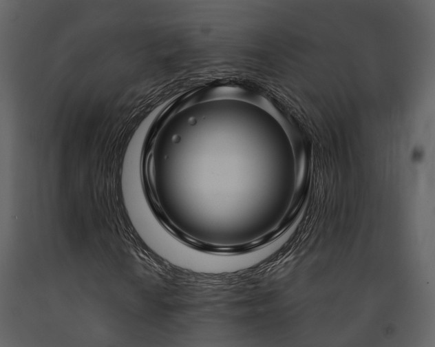 X0000091731010200708241408