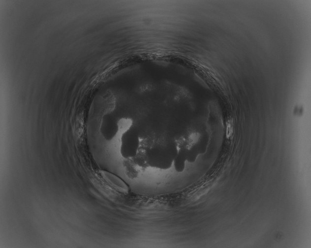 X0000091731011200708241408