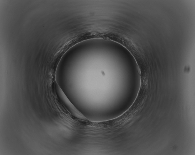 X0000091731012200708241408
