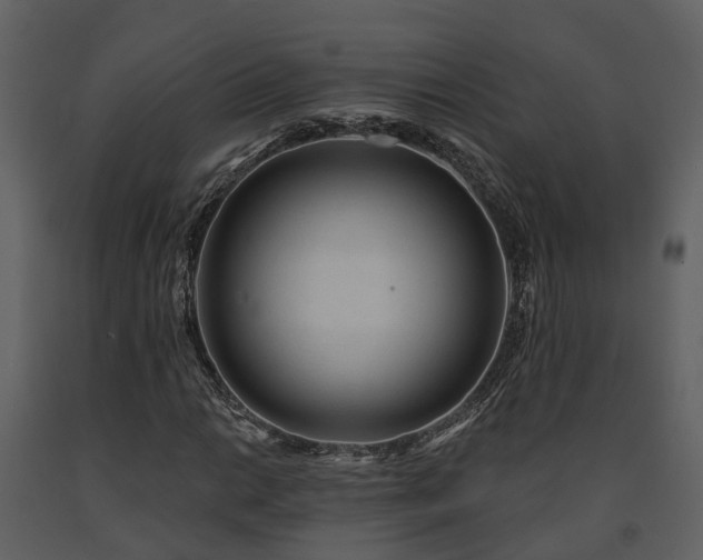 X0000091731014200708241408