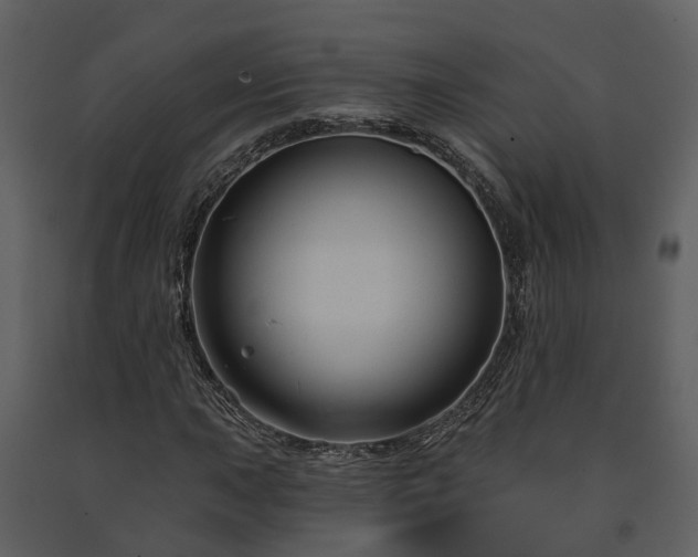 X0000091731015200708241408