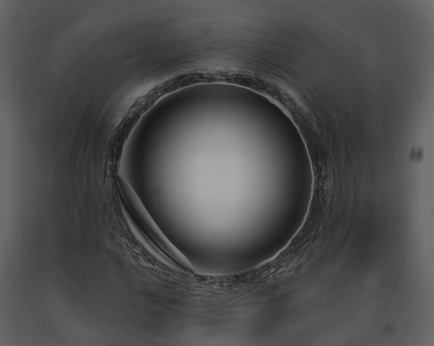 X0000091731016200708241408