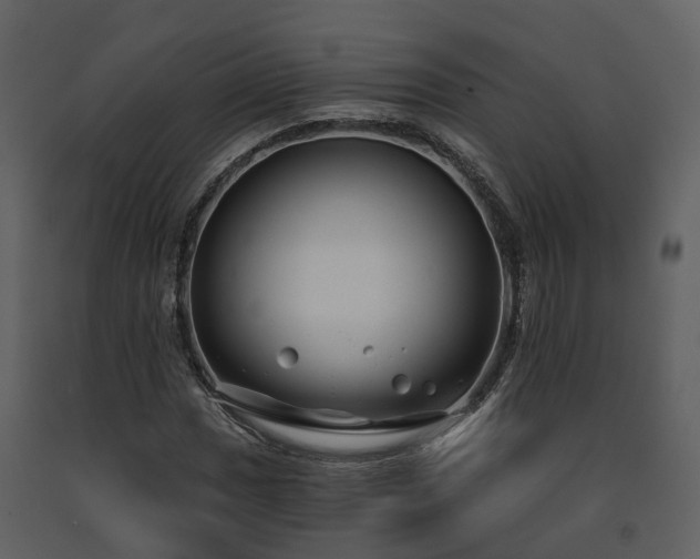 X0000091731017200708241408