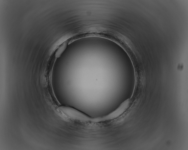 X0000091731018200708241408