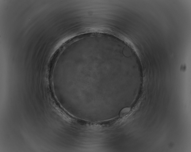 X0000091731019200708241408
