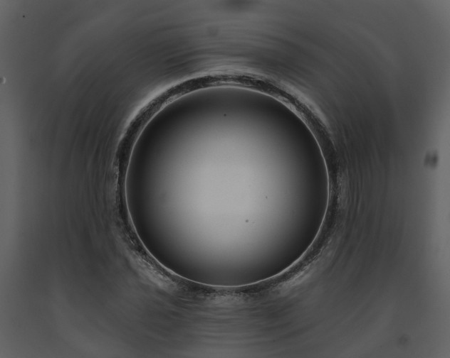 X0000091731021200708241408