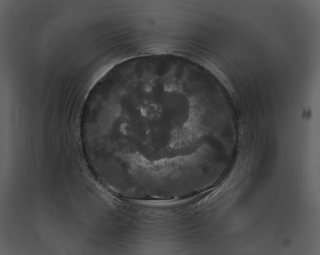 X0000091731023200708241408