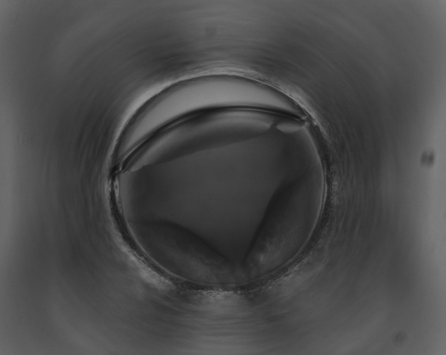 X0000091731024200708241408