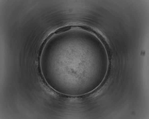X0000091731025200708241408