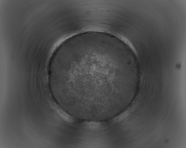 X0000091731027200708241408