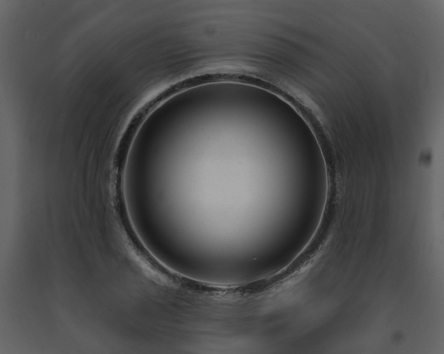 X0000091731029200708241408