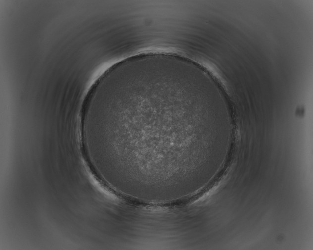 X0000091731030200708241408
