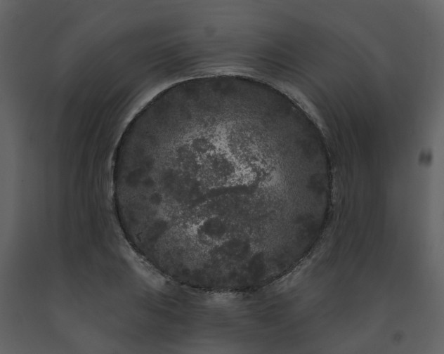 X0000091731031200708241408