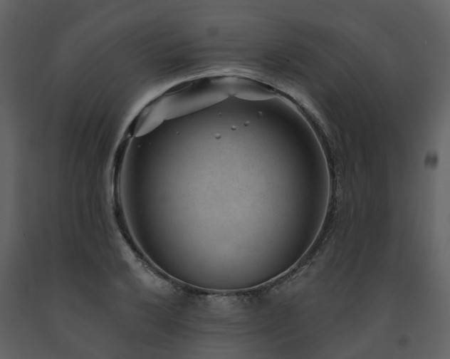 X0000091731032200708241408