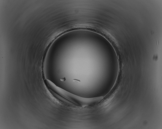 X0000091731033200708241408