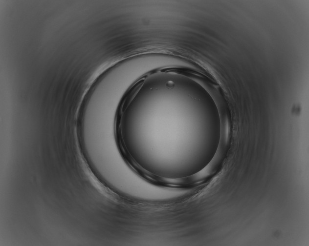 X0000091731034200708241408