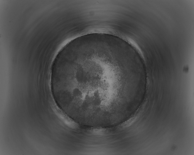 X0000091731035200708241408