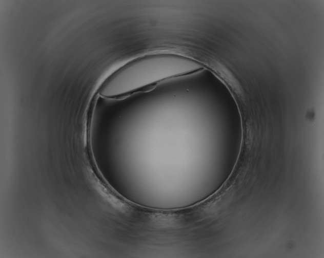 X0000091731036200708241408