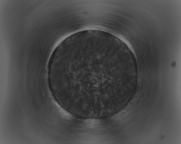X0000091731037200708241408