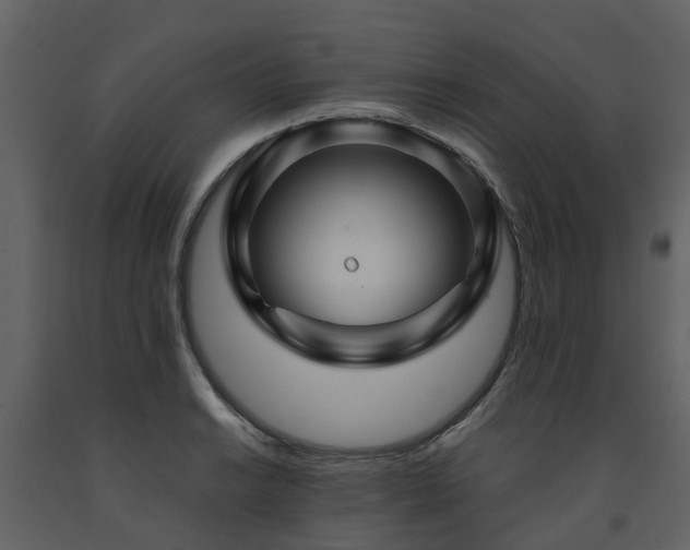 X0000091731038200708241408