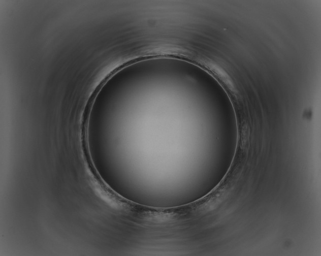 X0000091731039200708241408