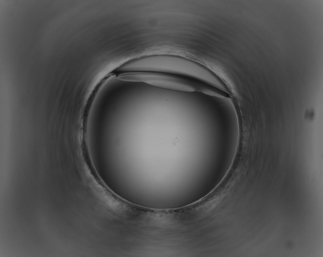 X0000091731040200708241408