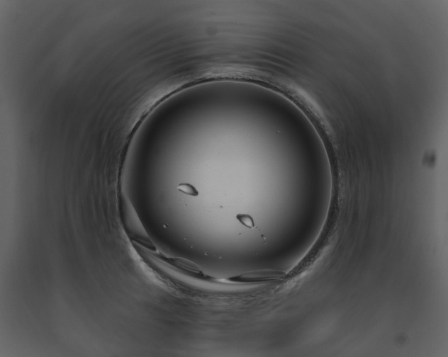 X0000091731041200708241408