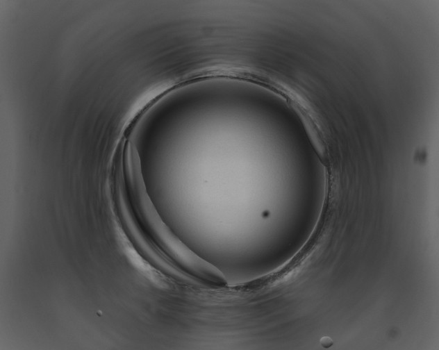 X0000091731042200708241408