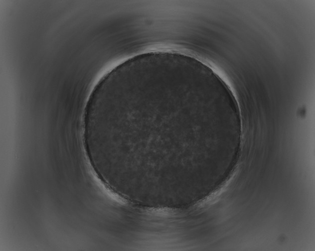 X0000091731045200708241408