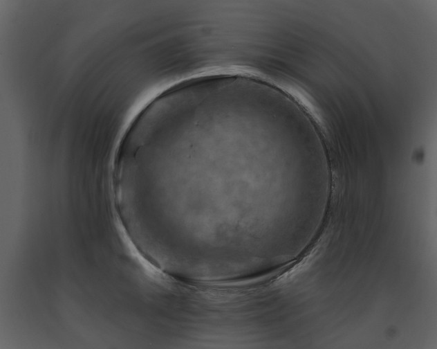 X0000091731046200708241408
