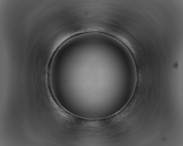 X0000091731047200708241408