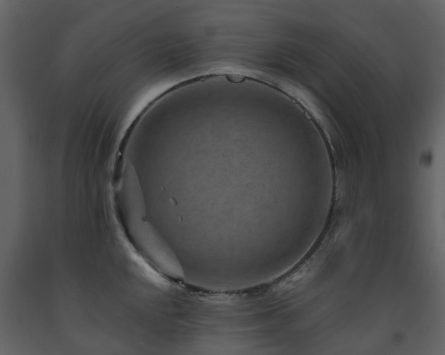 X0000091731048200708241408