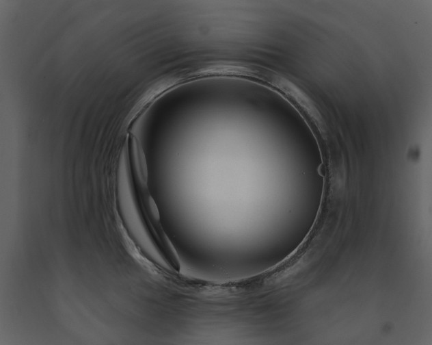 X0000091731049200708241408