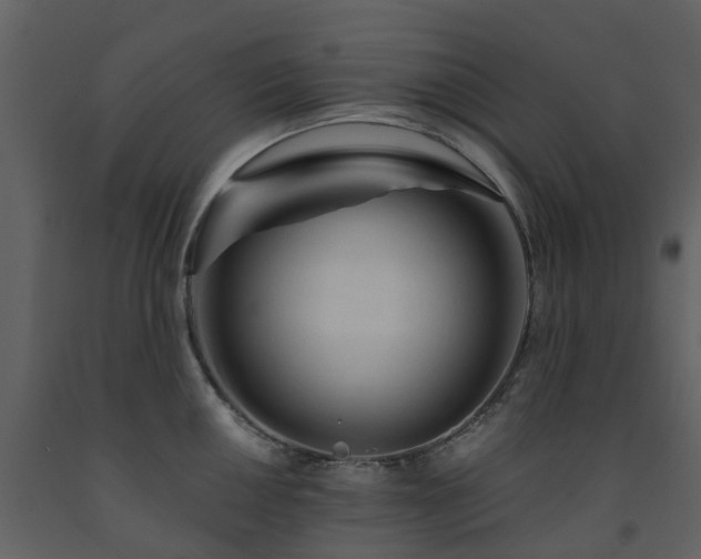 X0000091731050200708241408