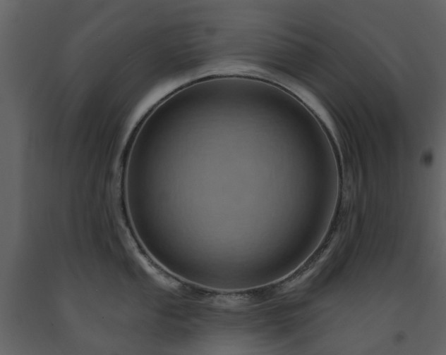 X0000091731053200708241408
